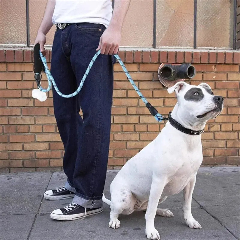 Laisse Réfléchissante Renforcée pour Chien - Poignée Rembourrée Anti-Traction