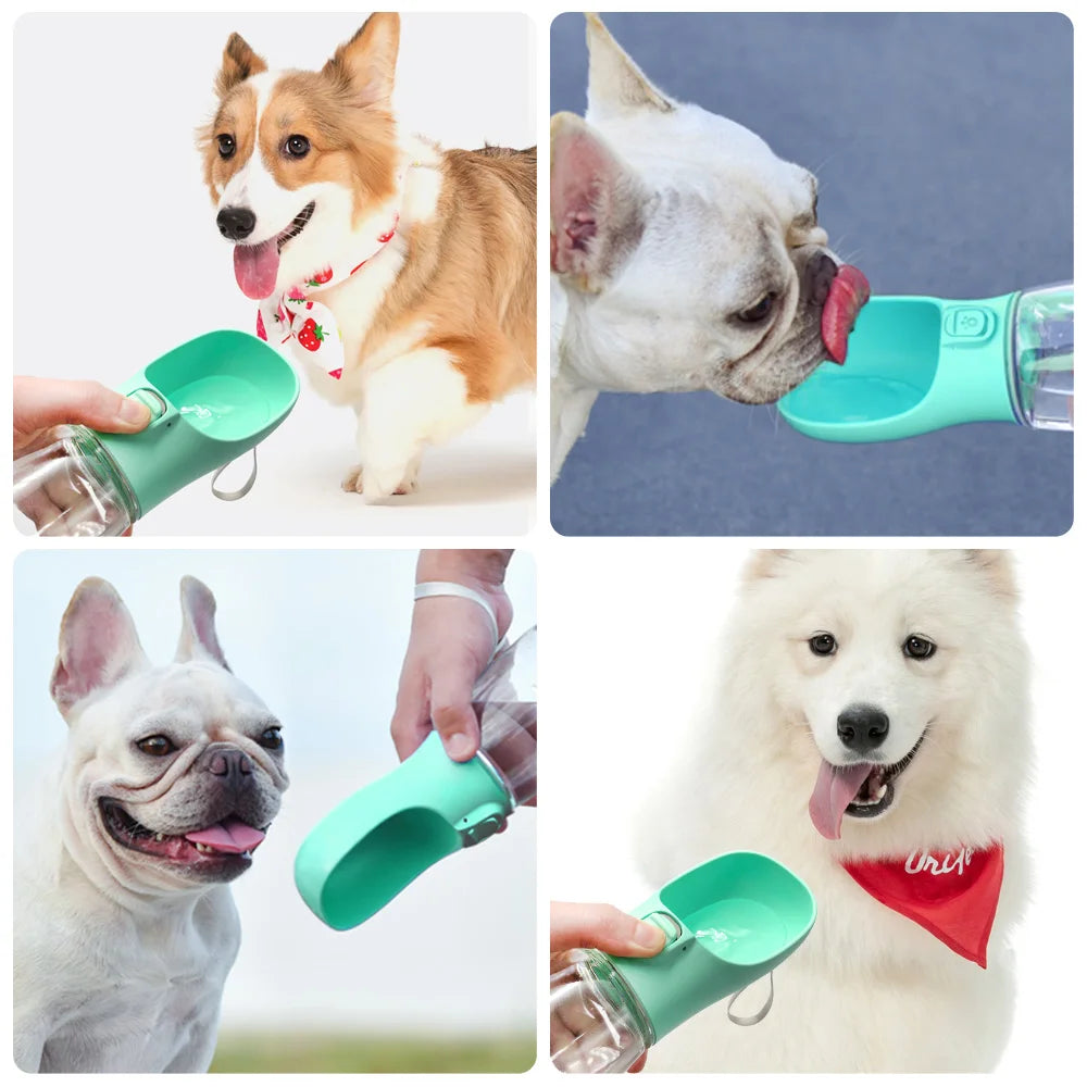 Gourde Portable Anti-Fuite pour Chien - Distributeur d'Eau Nomade