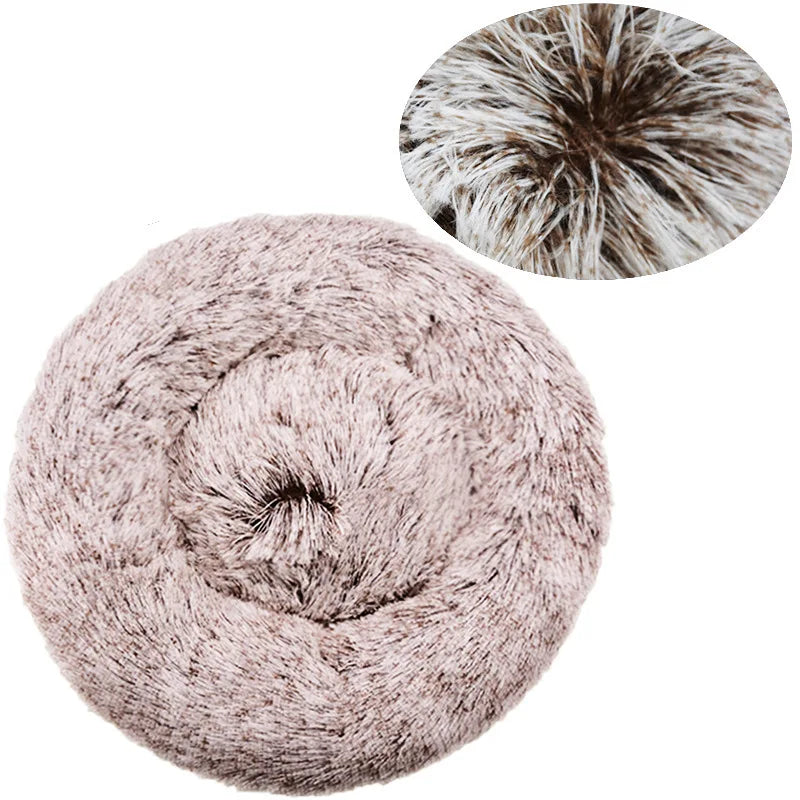 Panier rond pour chien, motif citrouille