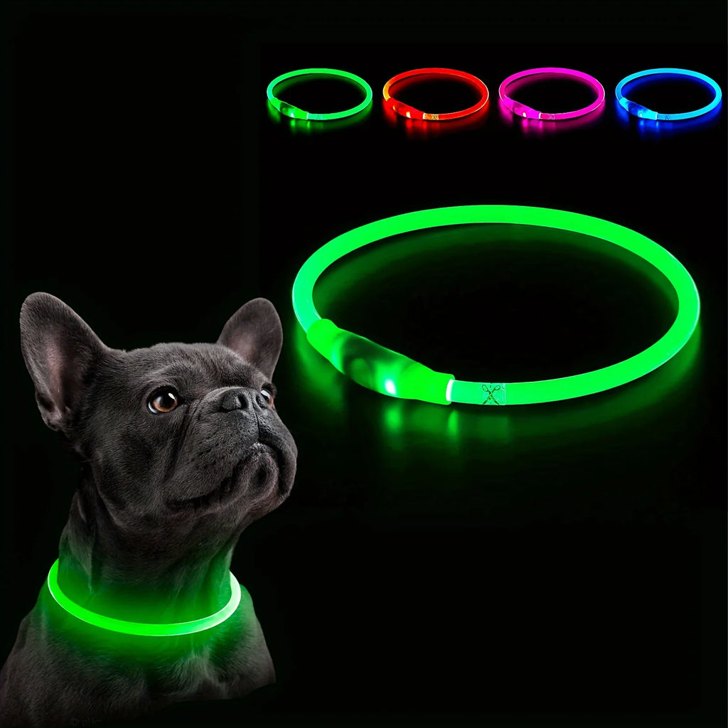 Collier Lumineux Rechargeable USB pour Chien - Visibilité Nocturne