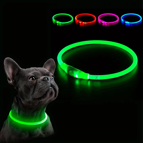Collier Lumineux Rechargeable USB pour Chien - Visibilité Nocturne