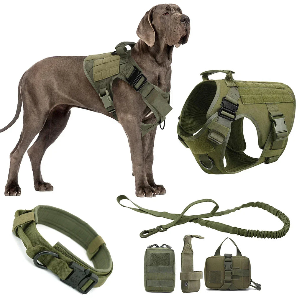 Harnais tactique pour chien, vue d'ensemble