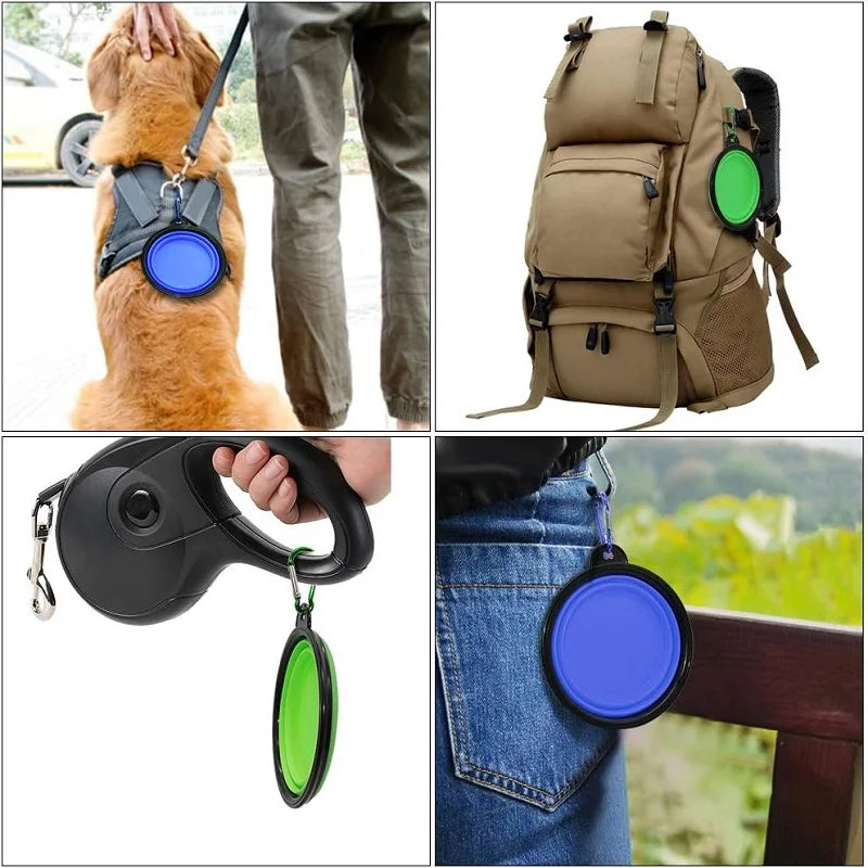 Gourde pliable pour chien, mousqueton inclus